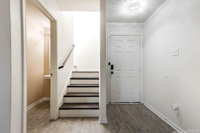 staircase featuring wood-type flooring