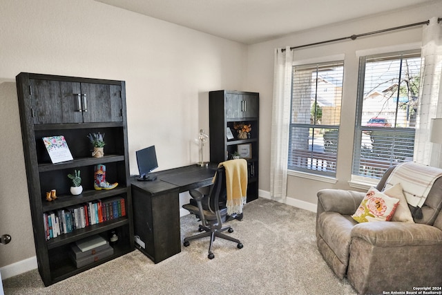 office area with light carpet