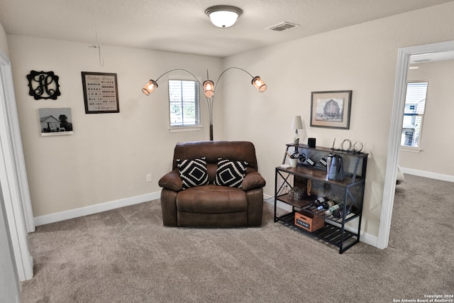 living area with carpet flooring and a textured ceiling