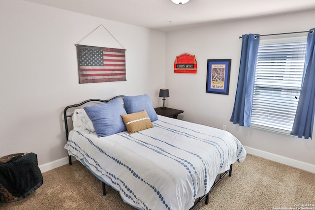 carpeted bedroom with multiple windows