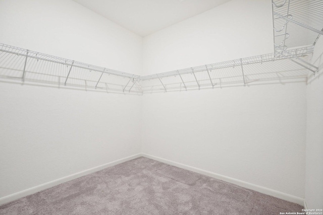 spacious closet with carpet floors