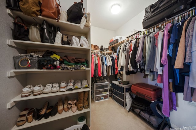 spacious closet featuring carpet