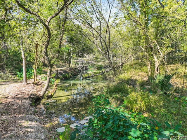 view of local wilderness featuring a water view