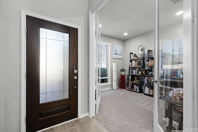 carpeted entrance foyer featuring a wealth of natural light