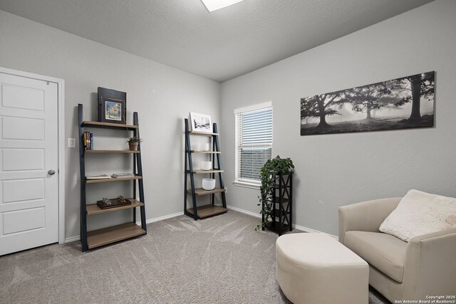 sitting room featuring light carpet and a textured ceiling