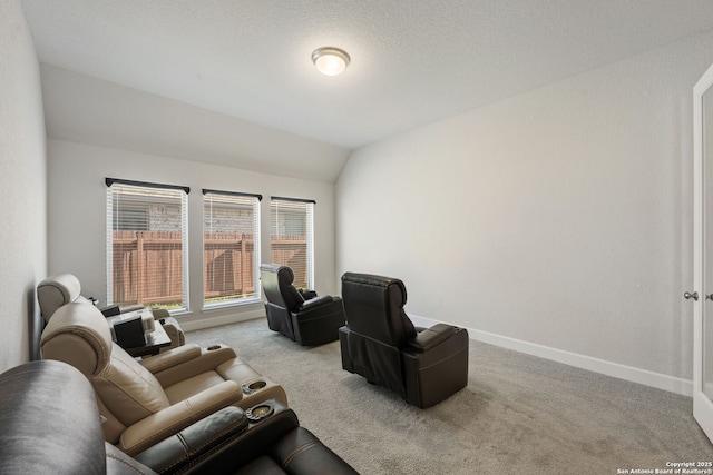 carpeted living room with a textured ceiling and lofted ceiling