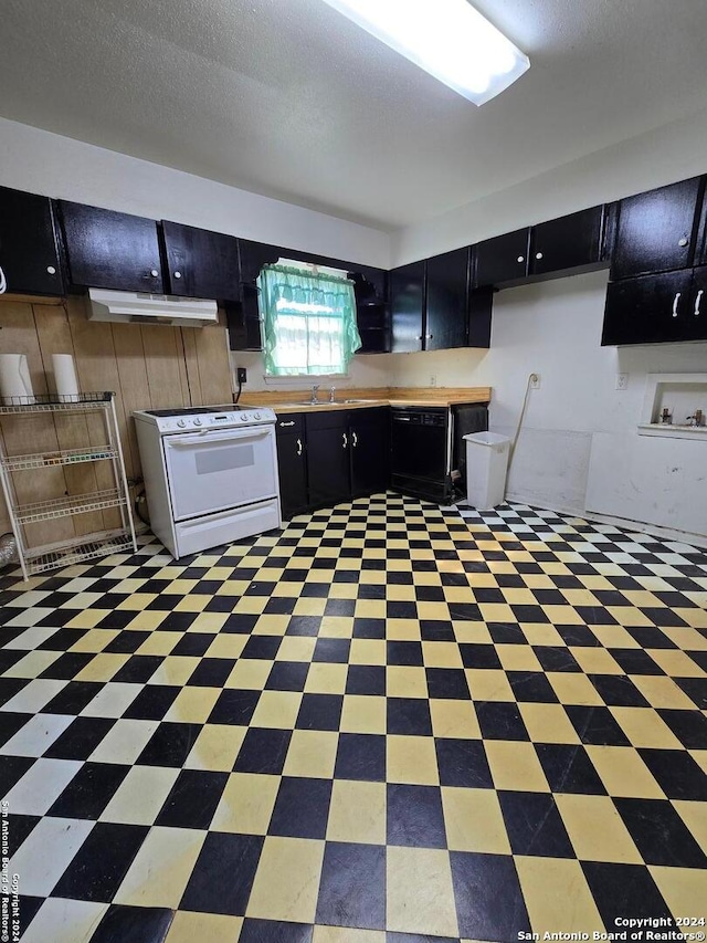 kitchen featuring a textured ceiling, sink, electric stove, and black dishwasher