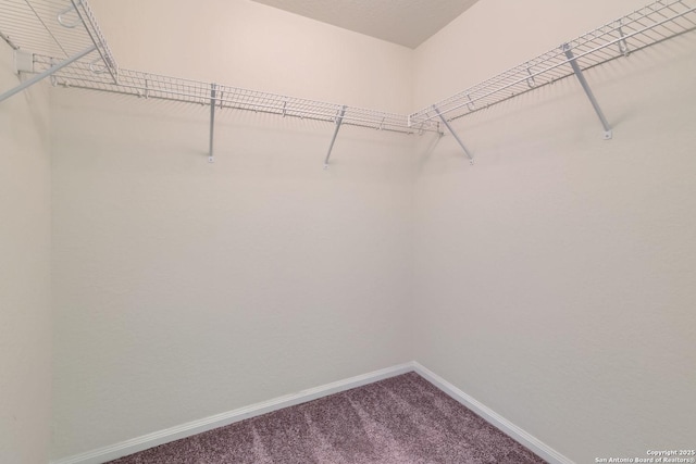 walk in closet with carpet floors