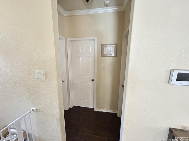 755 Eagles Gln, Schertz, TX 78108 - hallway featuring crown molding and dark wood-type flooring