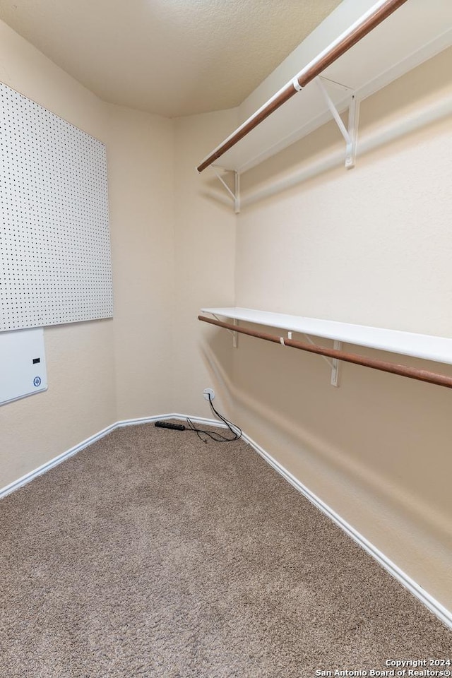 walk in closet with carpet floors