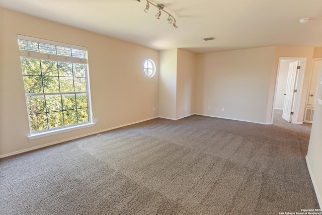 carpeted spare room featuring track lighting and a wealth of natural light