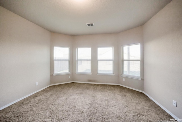 empty room with carpet floors and a healthy amount of sunlight