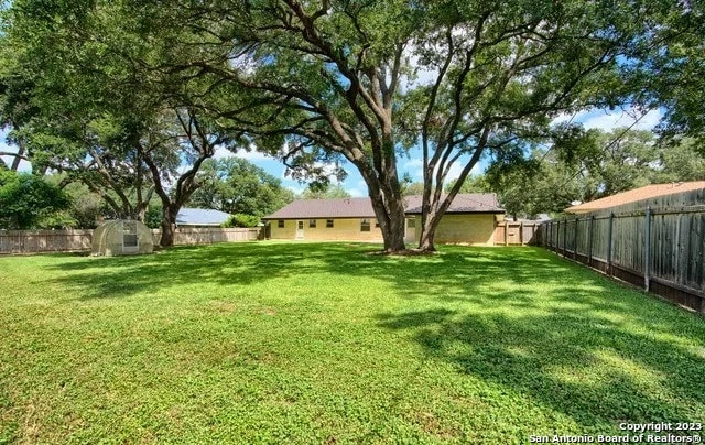 view of yard with a storage shed