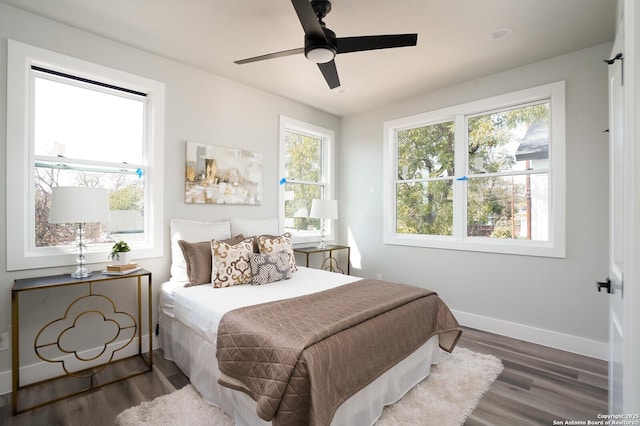 bedroom with ceiling fan, wood-type flooring, and multiple windows