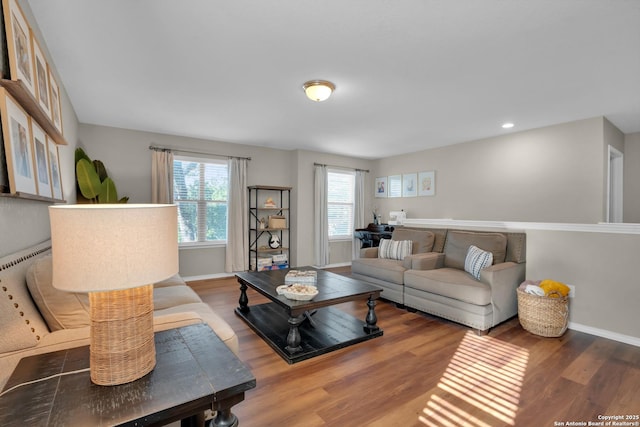 living room featuring hardwood / wood-style floors