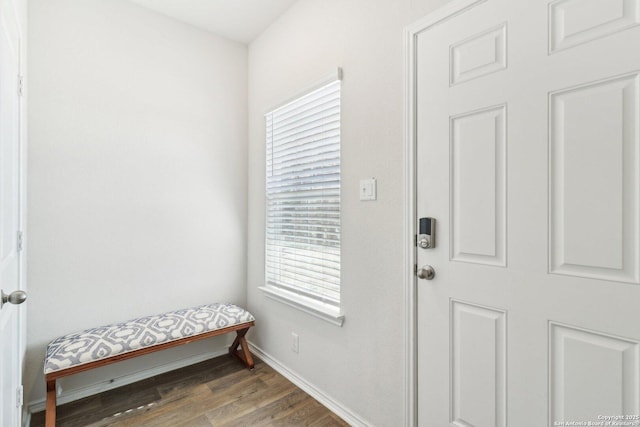 foyer entrance featuring dark wood-type flooring