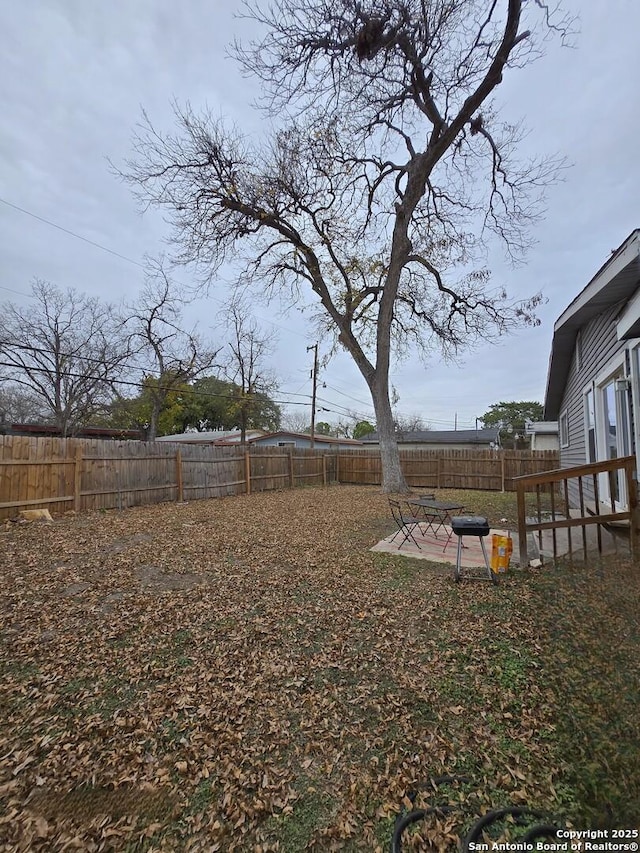 view of yard featuring a patio