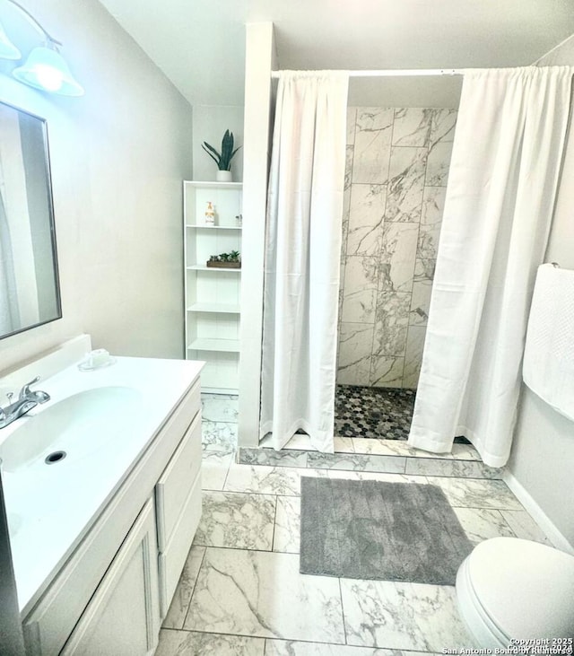 bathroom featuring a shower with curtain, toilet, and vanity