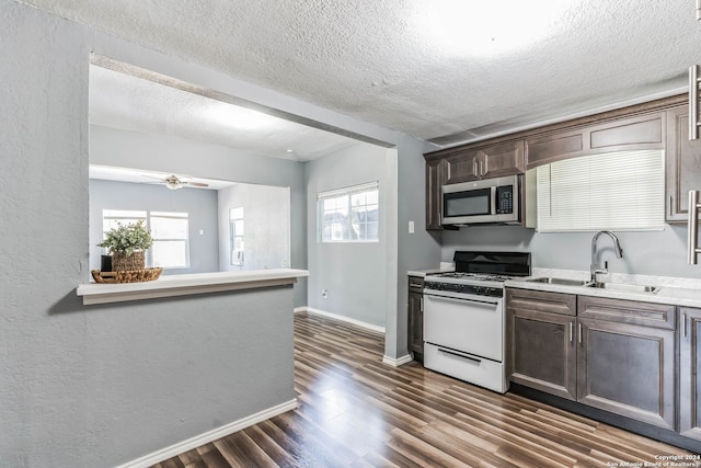 kitchen featuring ceiling fan, sink, dark wood-type flooring, dark brown cabinets, and white gas range oven