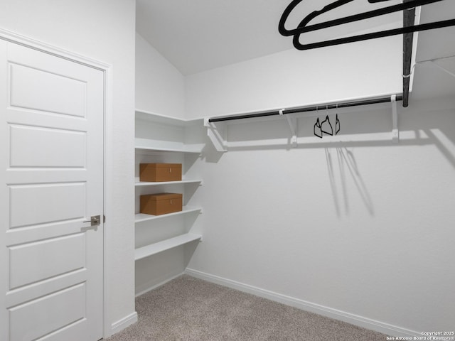 walk in closet featuring light colored carpet