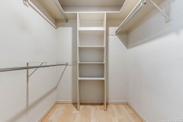 spacious closet featuring hardwood / wood-style floors