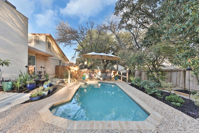 view of swimming pool