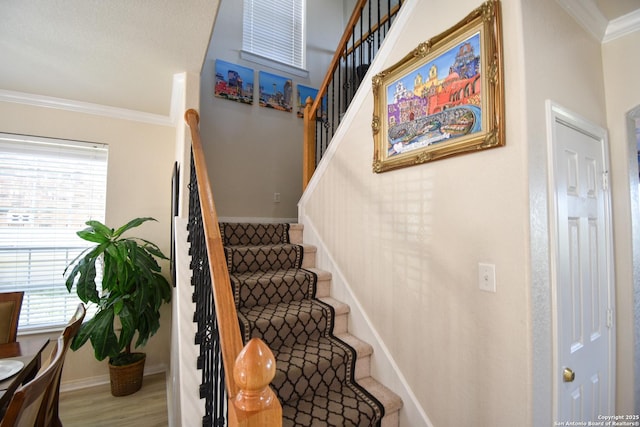 staircase featuring wood-type flooring, plenty of natural light, and crown molding