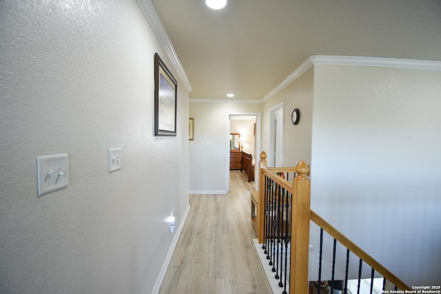 hallway featuring light hardwood / wood-style flooring and ornamental molding