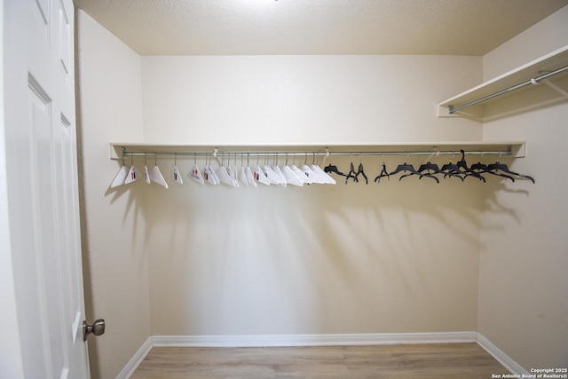 walk in closet with light hardwood / wood-style floors