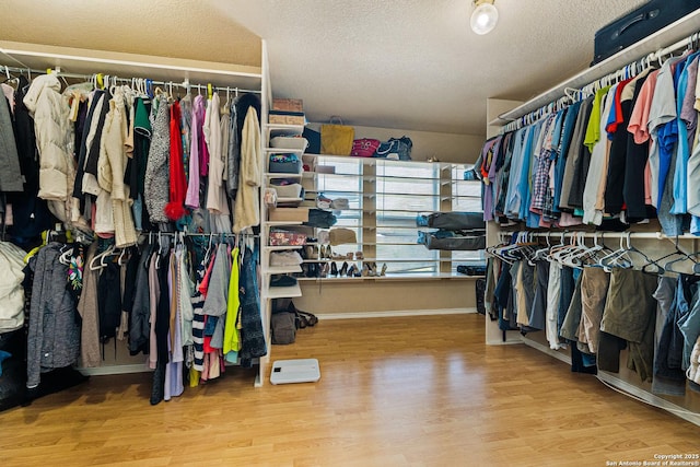 spacious closet with hardwood / wood-style floors