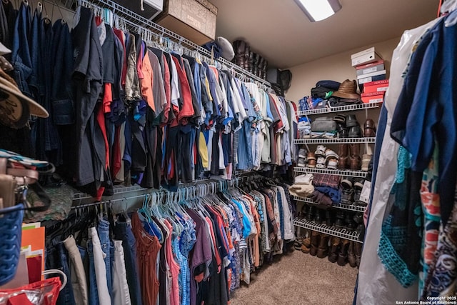 walk in closet featuring carpet flooring