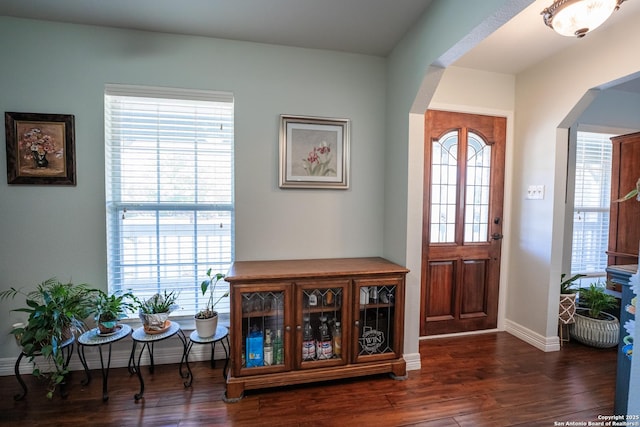 foyer entrance featuring dark hardwood / wood-style flooring