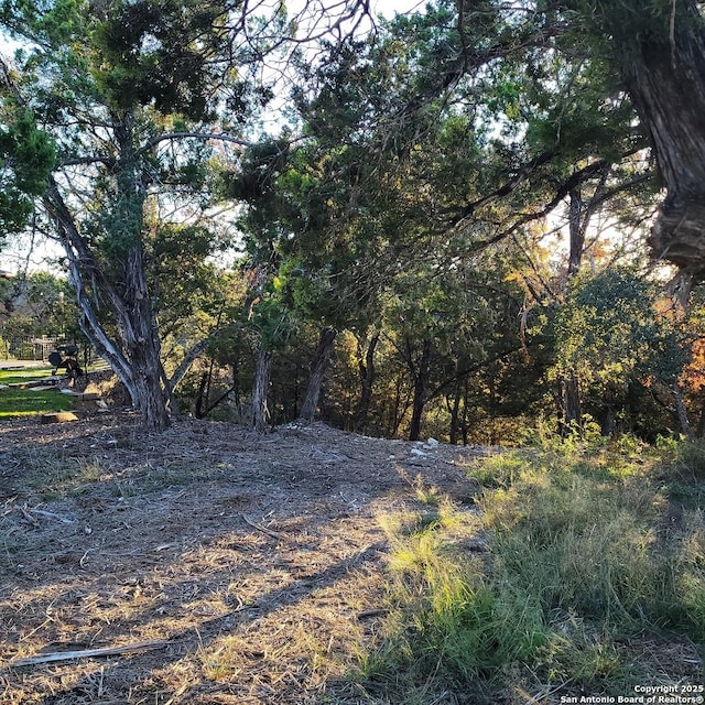 463 Twilight Dr, Canyon Lake TX, 78133 land for sale