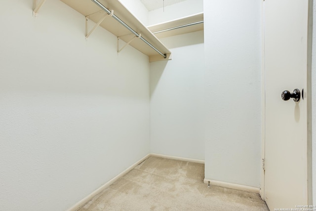 walk in closet featuring light colored carpet