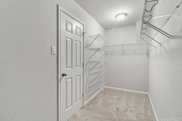 spacious closet with light colored carpet