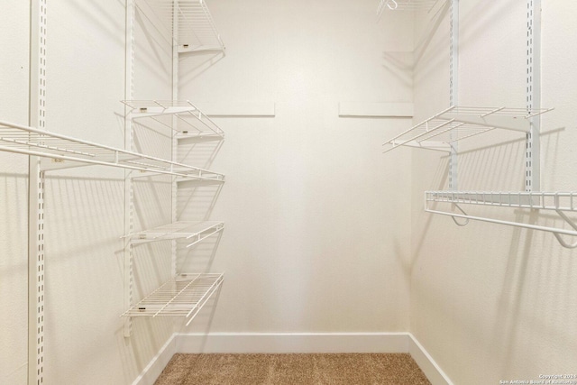 spacious closet with carpet