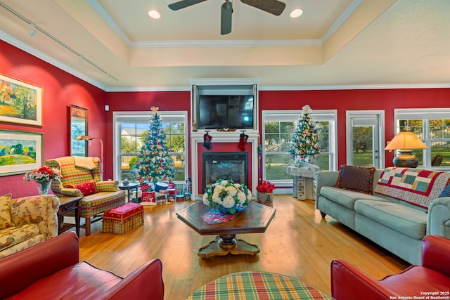 living room featuring a large fireplace, light hardwood / wood-style flooring, and a raised ceiling