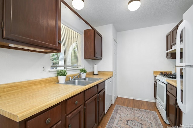 kitchen featuring hardwood / wood-style floors, white appliances, sink, a textured ceiling, and dark brown cabinetry