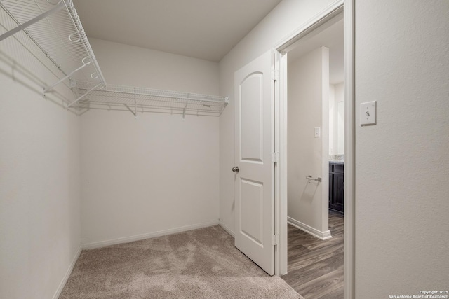 walk in closet with carpet floors