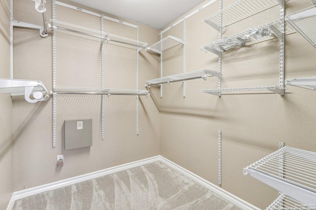 spacious closet with carpet flooring