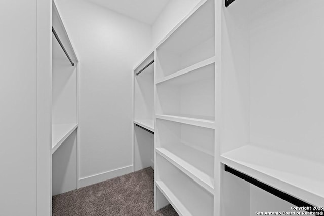 walk in closet featuring carpet