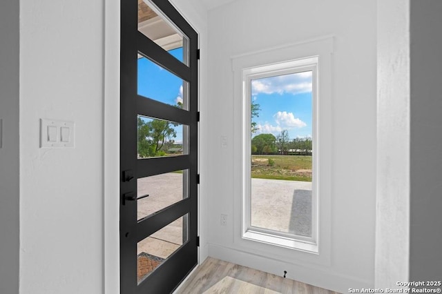 doorway with light hardwood / wood-style flooring and plenty of natural light