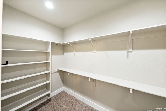 walk in closet with carpet floors