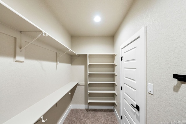 walk in closet featuring carpet flooring