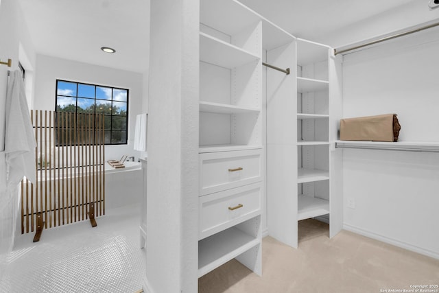 spacious closet featuring light carpet