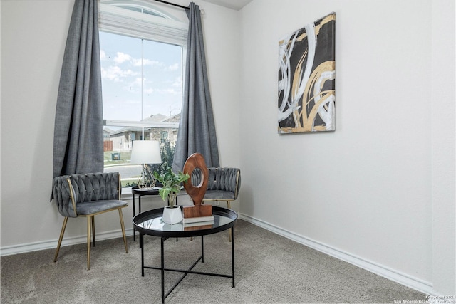 living area featuring carpet flooring and plenty of natural light