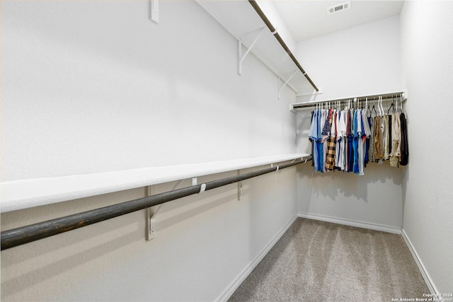 spacious closet with carpet floors