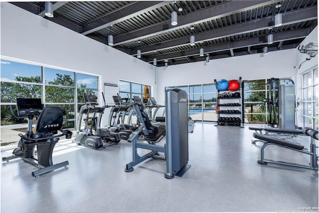 workout area featuring a towering ceiling and a wealth of natural light