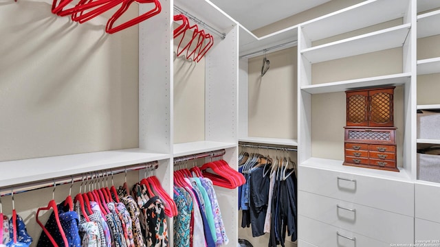 view of spacious closet