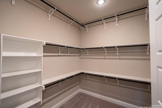 walk in closet featuring carpet